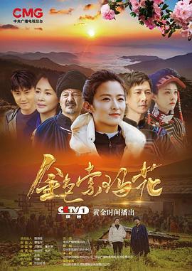 金色索玛花(2020) 第07集